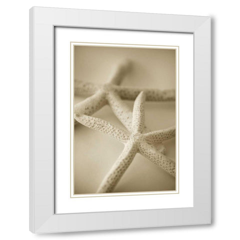 Ocean Treasures V White Modern Wood Framed Art Print with Double Matting by Millet, Karyn