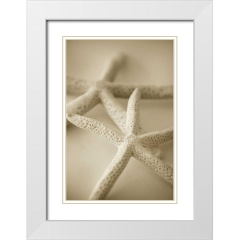 Ocean Treasures V White Modern Wood Framed Art Print with Double Matting by Millet, Karyn