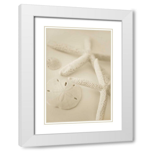 Ocean Treasures VI White Modern Wood Framed Art Print with Double Matting by Millet, Karyn