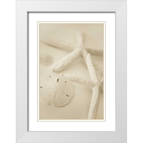 Ocean Treasures VI White Modern Wood Framed Art Print with Double Matting by Millet, Karyn