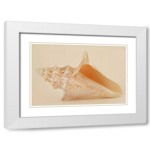 Ocean Treasures IX White Modern Wood Framed Art Print with Double Matting by Millet, Karyn