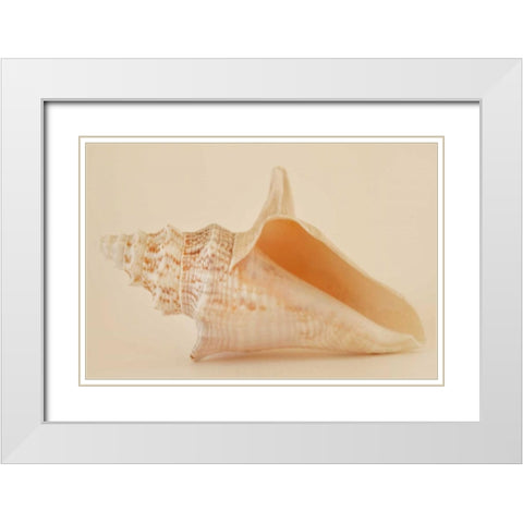 Ocean Treasures IX White Modern Wood Framed Art Print with Double Matting by Millet, Karyn