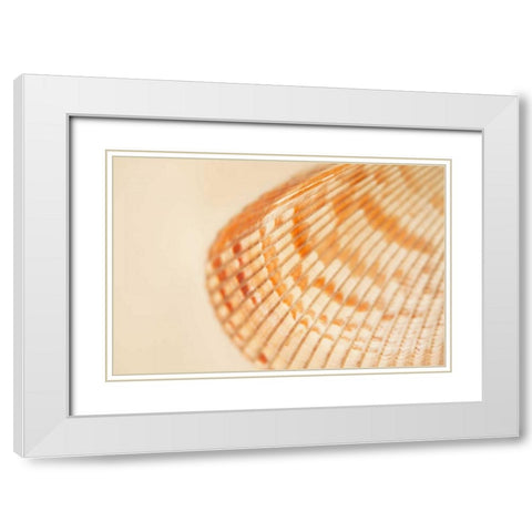 Ocean Treasures XII White Modern Wood Framed Art Print with Double Matting by Millet, Karyn
