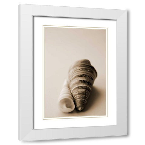 Shell Symmetry II White Modern Wood Framed Art Print with Double Matting by Millet, Karyn