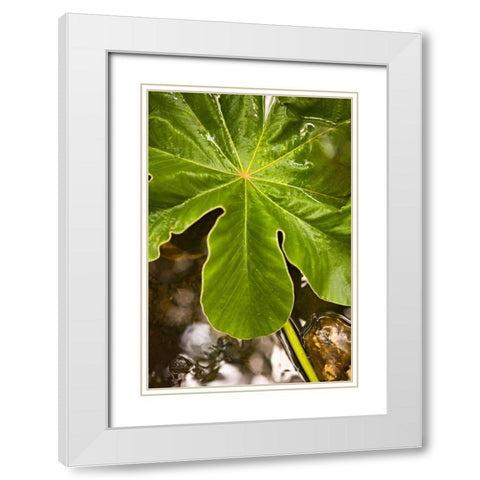 Tropical Leaves IV White Modern Wood Framed Art Print with Double Matting by Millet, Karyn