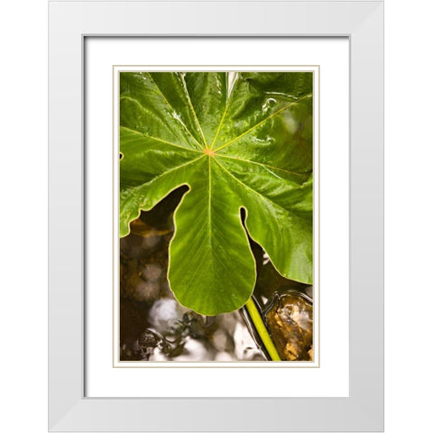 Tropical Leaves IV White Modern Wood Framed Art Print with Double Matting by Millet, Karyn