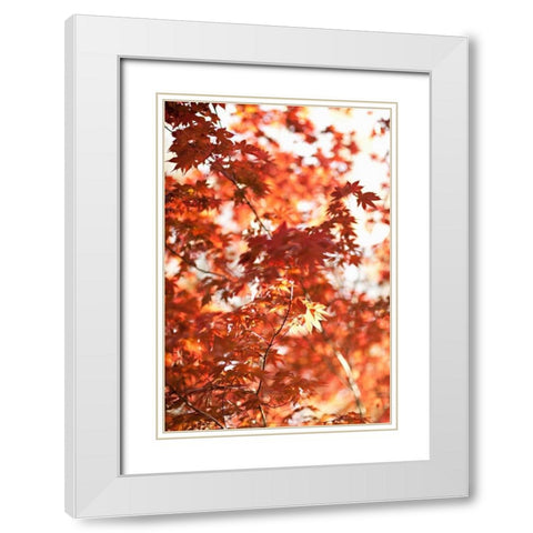 In the Trees I White Modern Wood Framed Art Print with Double Matting by Millet, Karyn