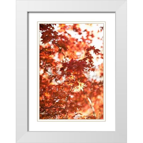 In the Trees I White Modern Wood Framed Art Print with Double Matting by Millet, Karyn