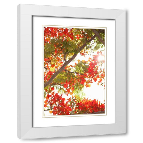 In the Trees II White Modern Wood Framed Art Print with Double Matting by Millet, Karyn