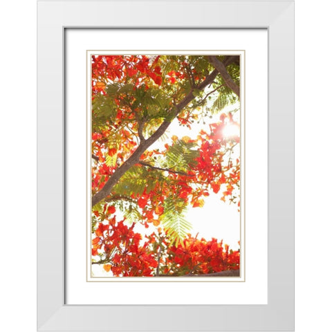 In the Trees II White Modern Wood Framed Art Print with Double Matting by Millet, Karyn