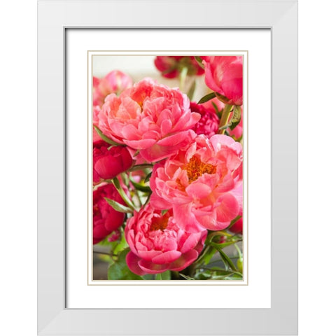 Peonies II White Modern Wood Framed Art Print with Double Matting by Millet, Karyn