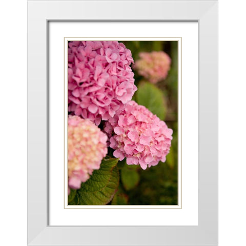 Hydrangeas V White Modern Wood Framed Art Print with Double Matting by Millet, Karyn