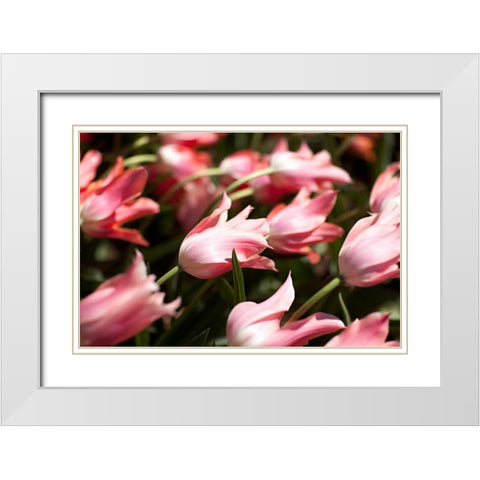 Leaning Tulips White Modern Wood Framed Art Print with Double Matting by Millet, Karyn