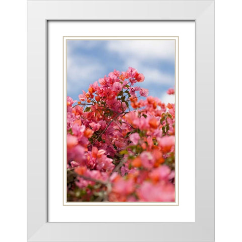 Spring Blossoms II White Modern Wood Framed Art Print with Double Matting by Millet, Karyn