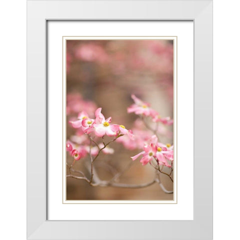 Spring Blossoms III White Modern Wood Framed Art Print with Double Matting by Millet, Karyn
