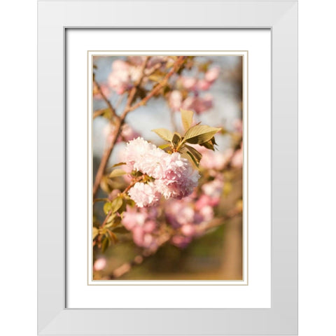 Spring Blossoms IV White Modern Wood Framed Art Print with Double Matting by Millet, Karyn