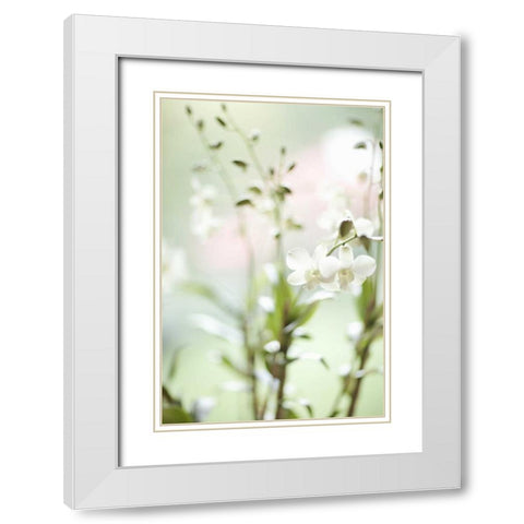 White Orchid I White Modern Wood Framed Art Print with Double Matting by Millet, Karyn