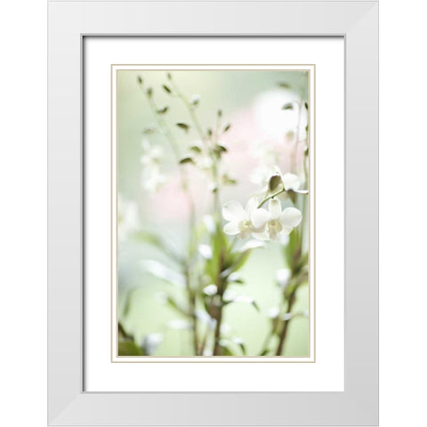 White Orchid I White Modern Wood Framed Art Print with Double Matting by Millet, Karyn