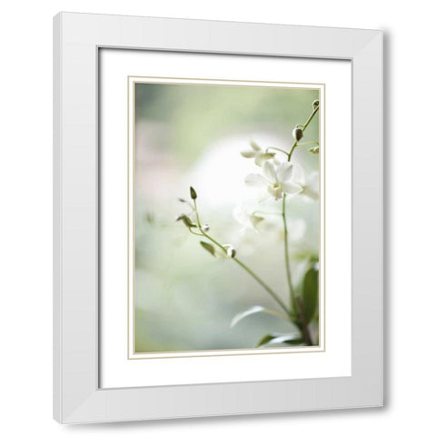 White Orchid II White Modern Wood Framed Art Print with Double Matting by Millet, Karyn