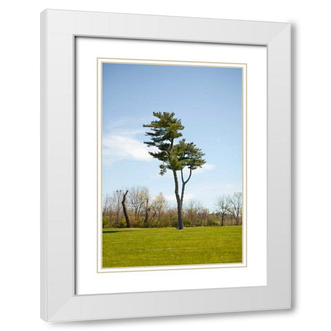 Tree II White Modern Wood Framed Art Print with Double Matting by Millet, Karyn