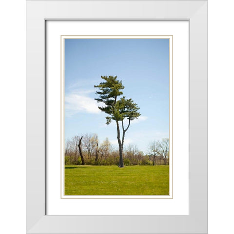 Tree II White Modern Wood Framed Art Print with Double Matting by Millet, Karyn