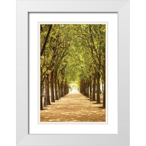Follow the Path I White Modern Wood Framed Art Print with Double Matting by Millet, Karyn