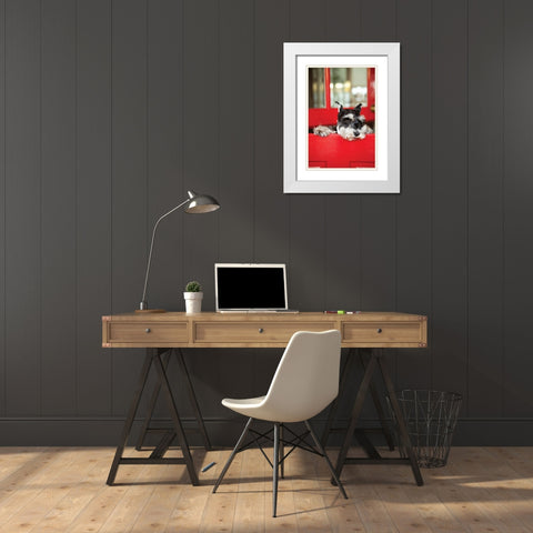 A Dogs Life I White Modern Wood Framed Art Print with Double Matting by Millet, Karyn
