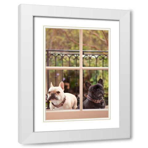 A Dogs Life II White Modern Wood Framed Art Print with Double Matting by Millet, Karyn
