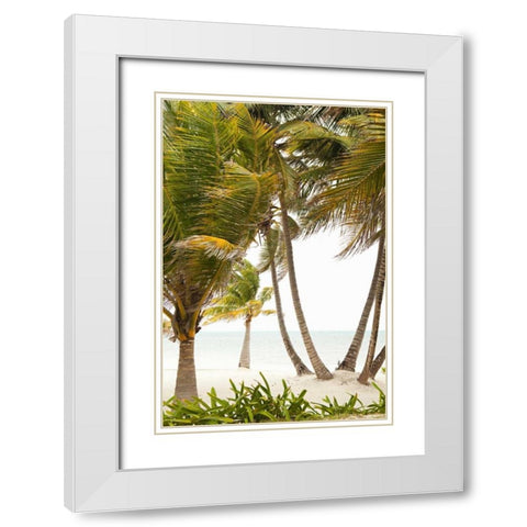Tropical Oasis II White Modern Wood Framed Art Print with Double Matting by Millet, Karyn