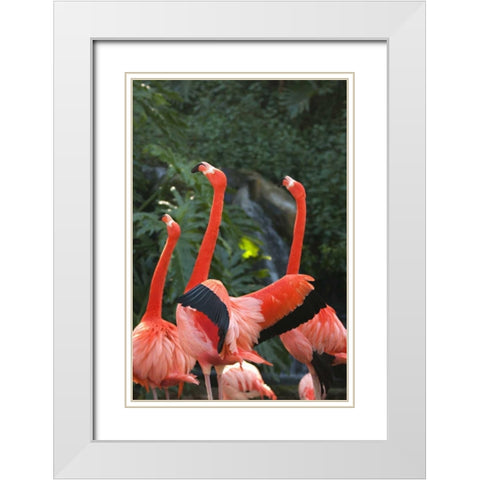 Flamingos I White Modern Wood Framed Art Print with Double Matting by Millet, Karyn