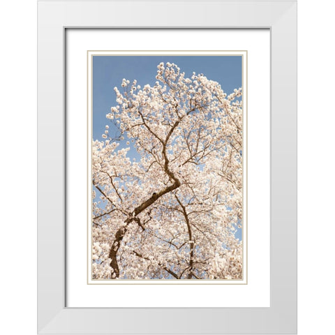 In Bloom II White Modern Wood Framed Art Print with Double Matting by Millet, Karyn
