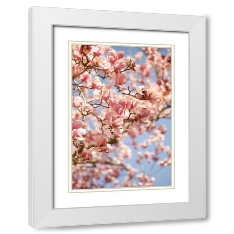 In Bloom III White Modern Wood Framed Art Print with Double Matting by Millet, Karyn