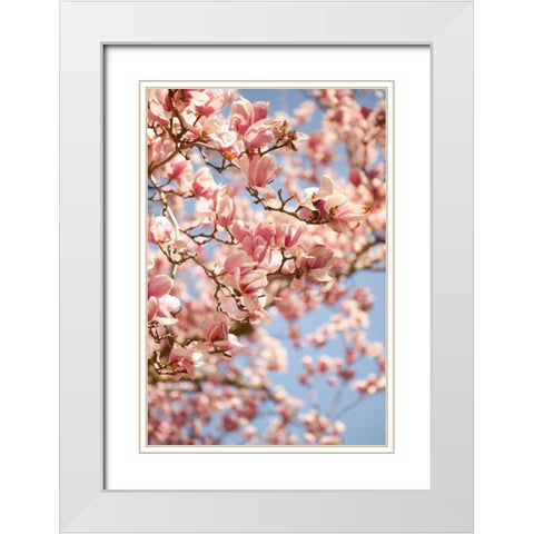 In Bloom III White Modern Wood Framed Art Print with Double Matting by Millet, Karyn