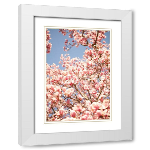 In Bloom IV White Modern Wood Framed Art Print with Double Matting by Millet, Karyn