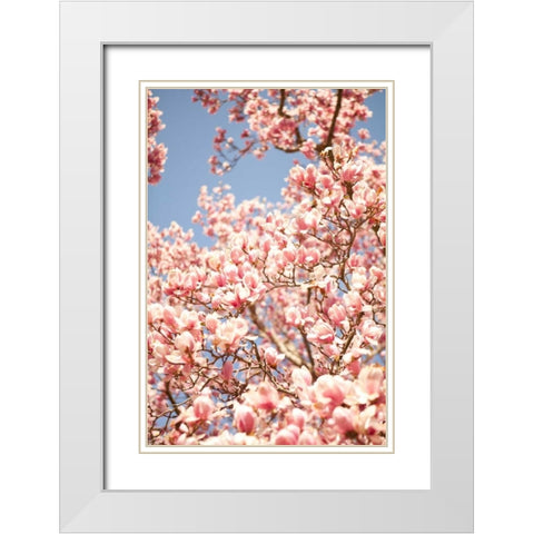 In Bloom IV White Modern Wood Framed Art Print with Double Matting by Millet, Karyn