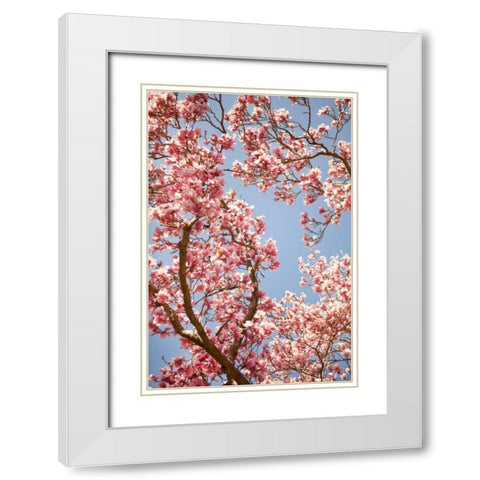 In Bloom V White Modern Wood Framed Art Print with Double Matting by Millet, Karyn