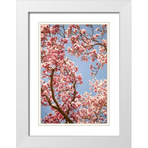In Bloom V White Modern Wood Framed Art Print with Double Matting by Millet, Karyn