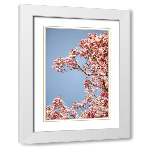 In Bloom VI White Modern Wood Framed Art Print with Double Matting by Millet, Karyn
