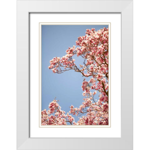 In Bloom VI White Modern Wood Framed Art Print with Double Matting by Millet, Karyn