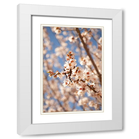 In Bloom VIII White Modern Wood Framed Art Print with Double Matting by Millet, Karyn