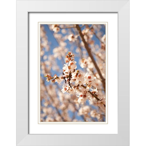 In Bloom VIII White Modern Wood Framed Art Print with Double Matting by Millet, Karyn