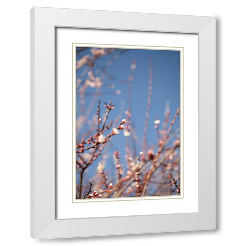 In Bloom IX White Modern Wood Framed Art Print with Double Matting by Millet, Karyn