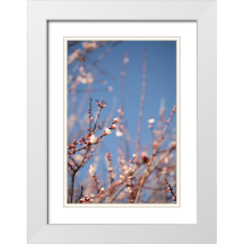 In Bloom IX White Modern Wood Framed Art Print with Double Matting by Millet, Karyn