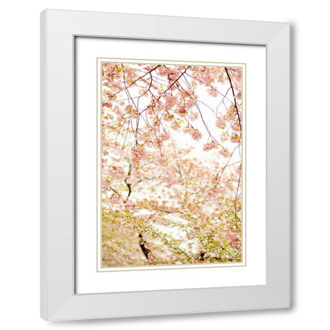 In Bloom XVIII White Modern Wood Framed Art Print with Double Matting by Millet, Karyn