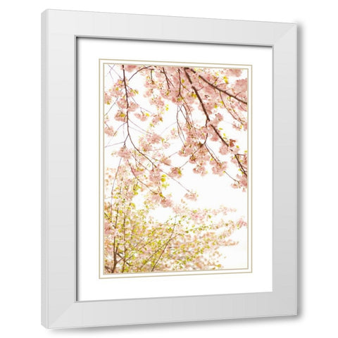 In Bloom XIX White Modern Wood Framed Art Print with Double Matting by Millet, Karyn