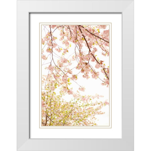 In Bloom XIX White Modern Wood Framed Art Print with Double Matting by Millet, Karyn