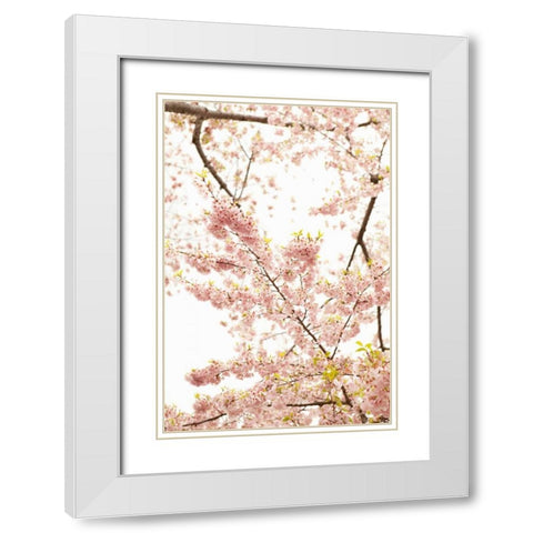 In Bloom XXI White Modern Wood Framed Art Print with Double Matting by Millet, Karyn