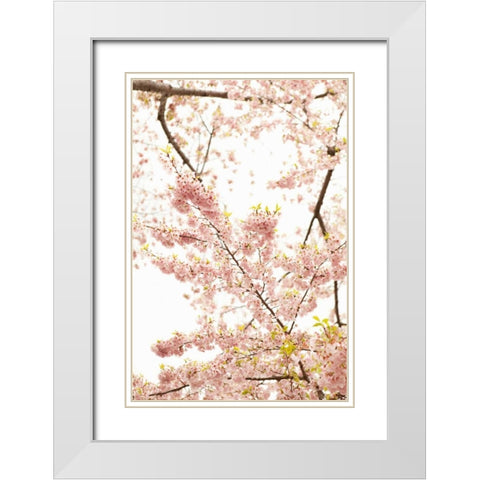 In Bloom XXI White Modern Wood Framed Art Print with Double Matting by Millet, Karyn