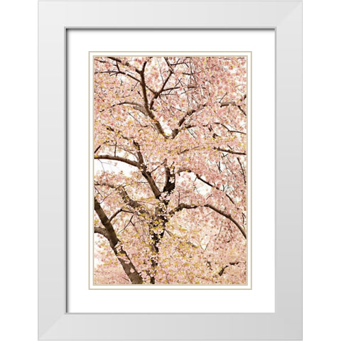 In Bloom XXII White Modern Wood Framed Art Print with Double Matting by Millet, Karyn