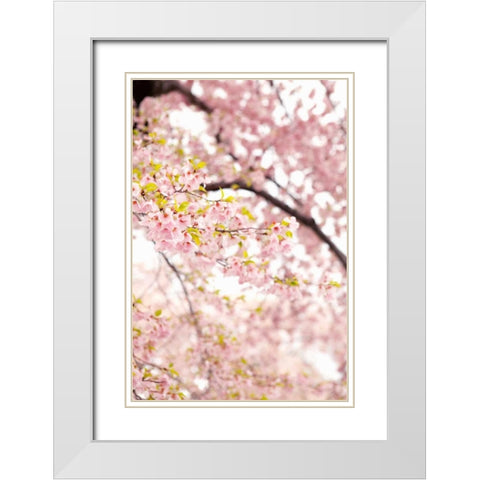 In Bloom XXIII White Modern Wood Framed Art Print with Double Matting by Millet, Karyn